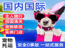 柳州白莲机场物流国际宠物托运 【国